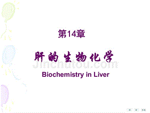 生物化学第14章肝的生物化学