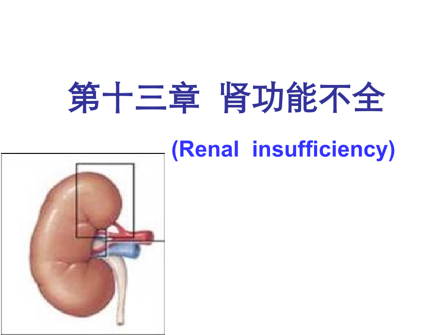 动物病理学13第十三章--肾功能不全课件_第1页