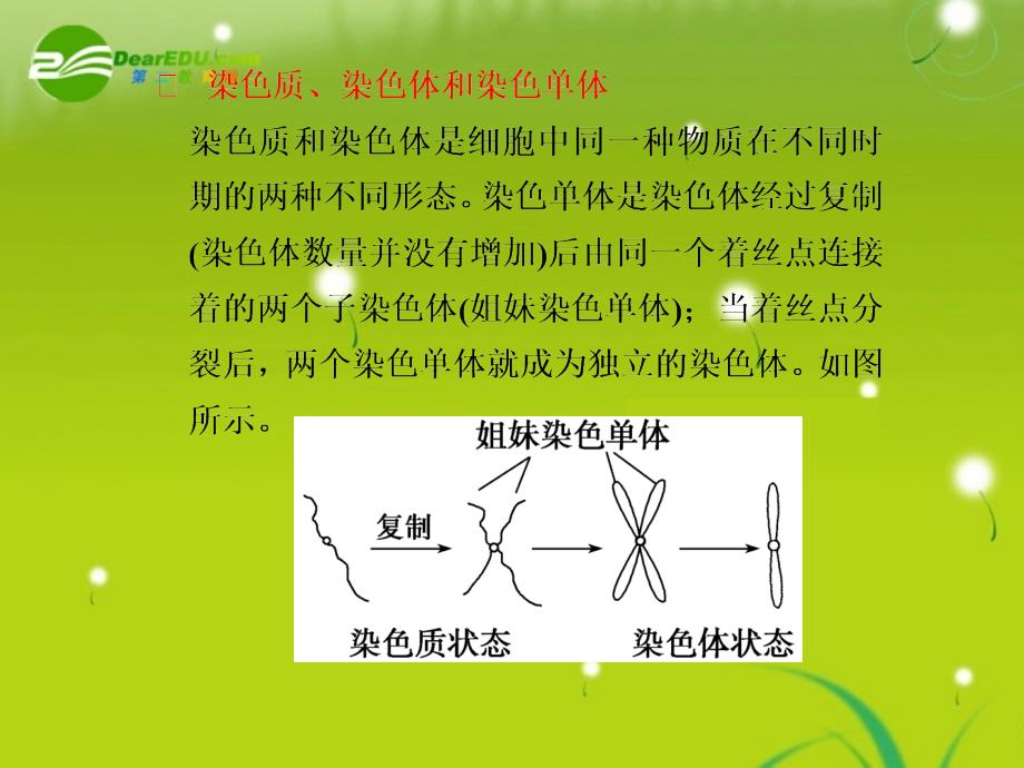 复生物习2理清易错易混配套课件(必修)_第4页