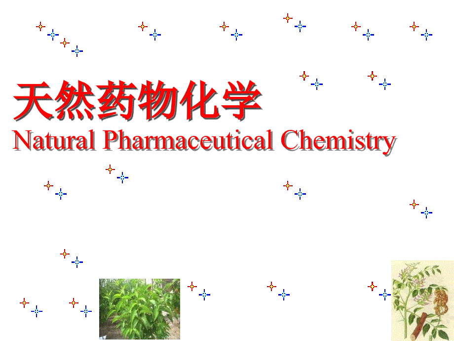 天然药物化学第一章绪论课件_第1页
