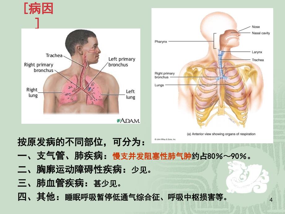 wxp慢性肺源性心脏病2012课件_第4页