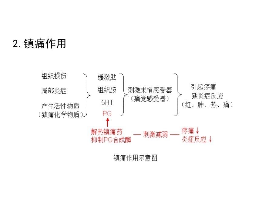 《药理学》第20章解热镇痛抗炎药课件_第5页