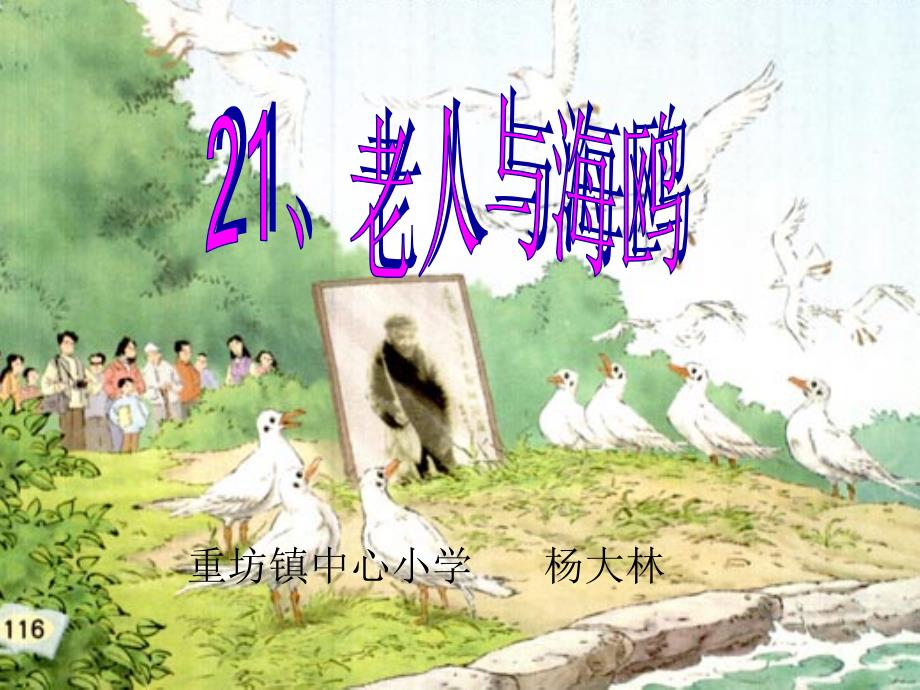 《老人与海鸥》ppt幻灯片 (11)_第1页