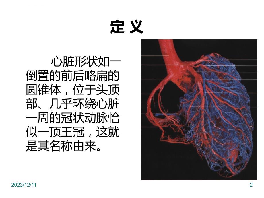 冠状动脉cta解剖课件_第2页