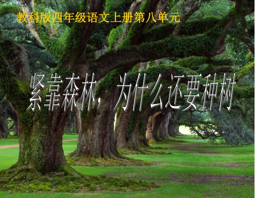 (教科版)四年级语文上册课件_紧靠森林,为什么还要种树_1_第1页