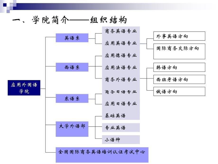 (ppt)-在探索与改革中提高外语教学质量,培养高水平应用型人才_第5页