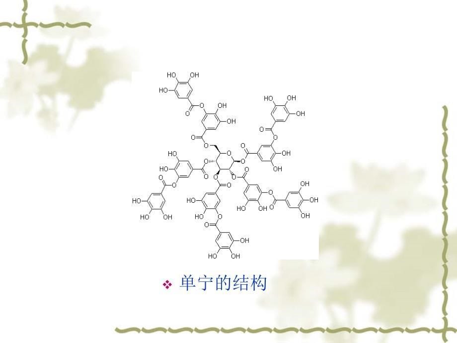 单宁及抗氧化机理幻灯片_第5页