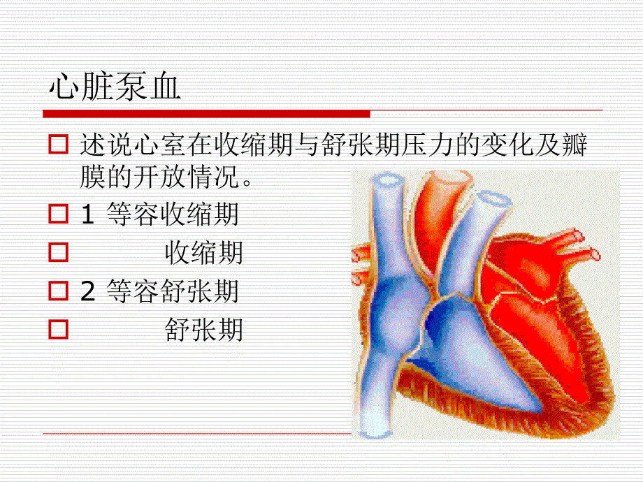 心肌细胞的生物电课件_第2页