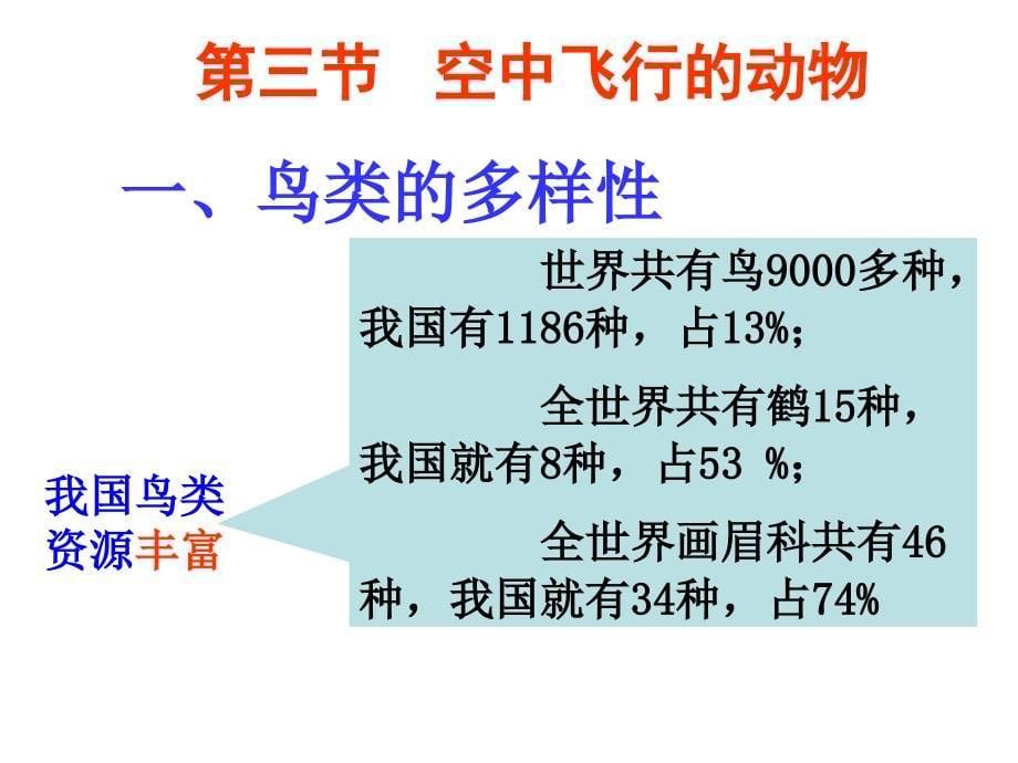 八年级生物-第5单元第1章-第三节-空中飞行的动物第一课时-幻灯片新人教版_第5页