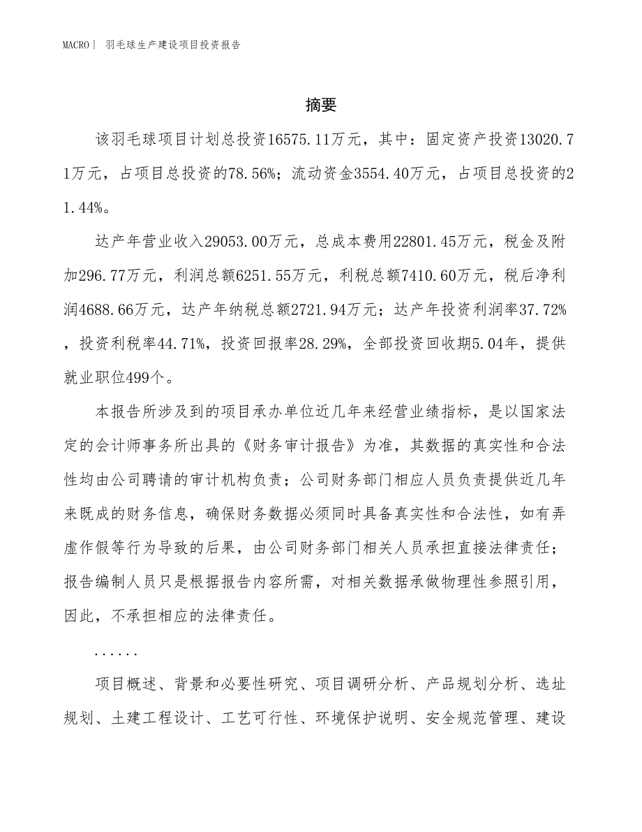 羽毛球生产建设项目投资报告_第2页