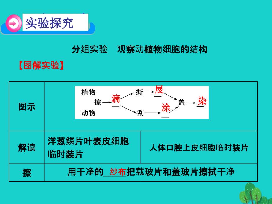 改七年级生物上册第一单元第二章观察生物的结构复习课件(新版)济南版_第3页