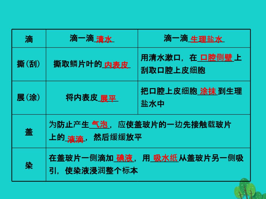 改七年级生物上册第一单元第二章观察生物的结构复习课件(新版)济南版_第4页