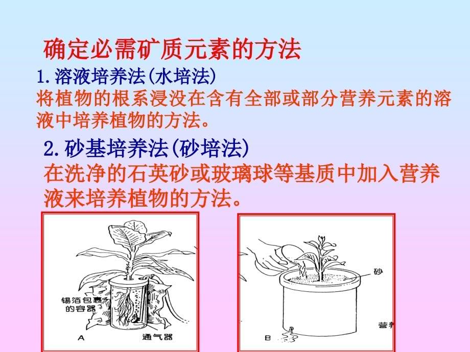 四川农业大学植物生理学幻灯片第2章_第5页