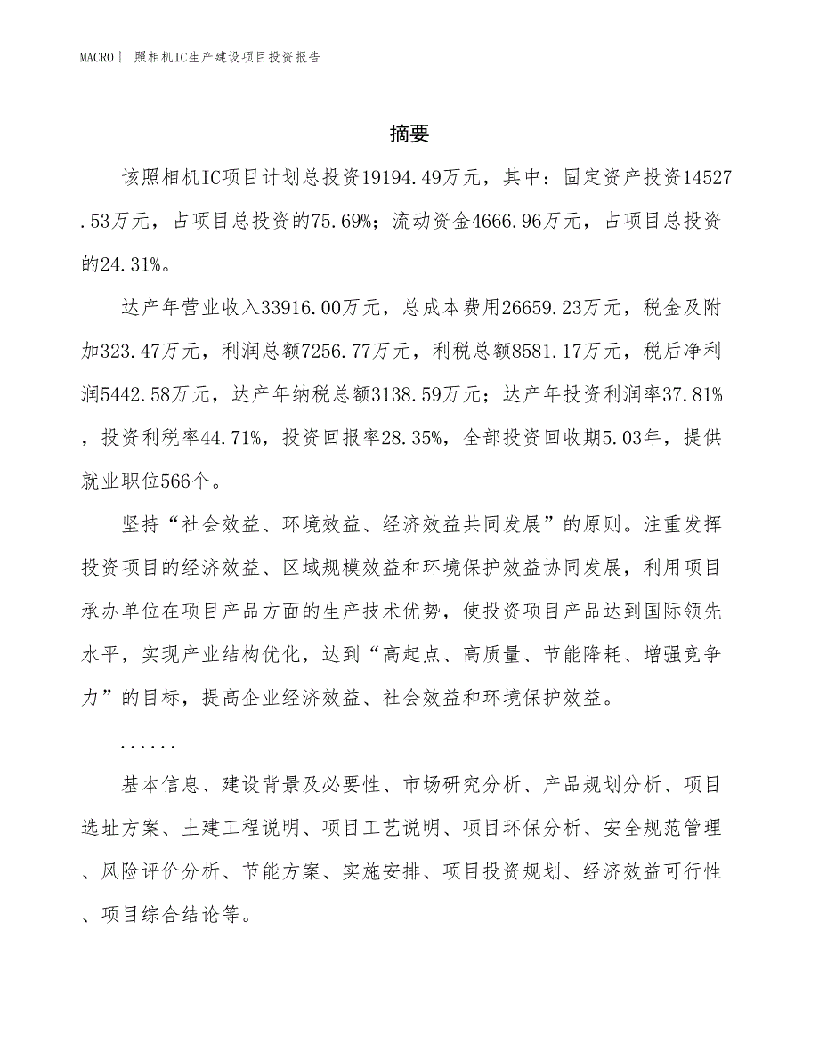 照相机IC生产建设项目投资报告_第2页