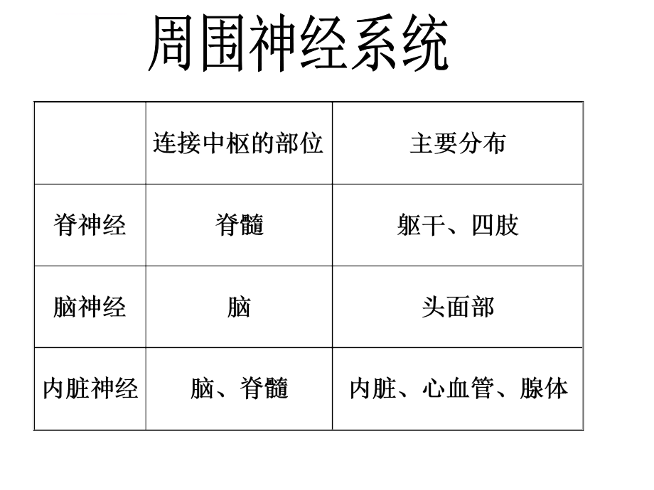 周围神经系统 (2)课件_第1页