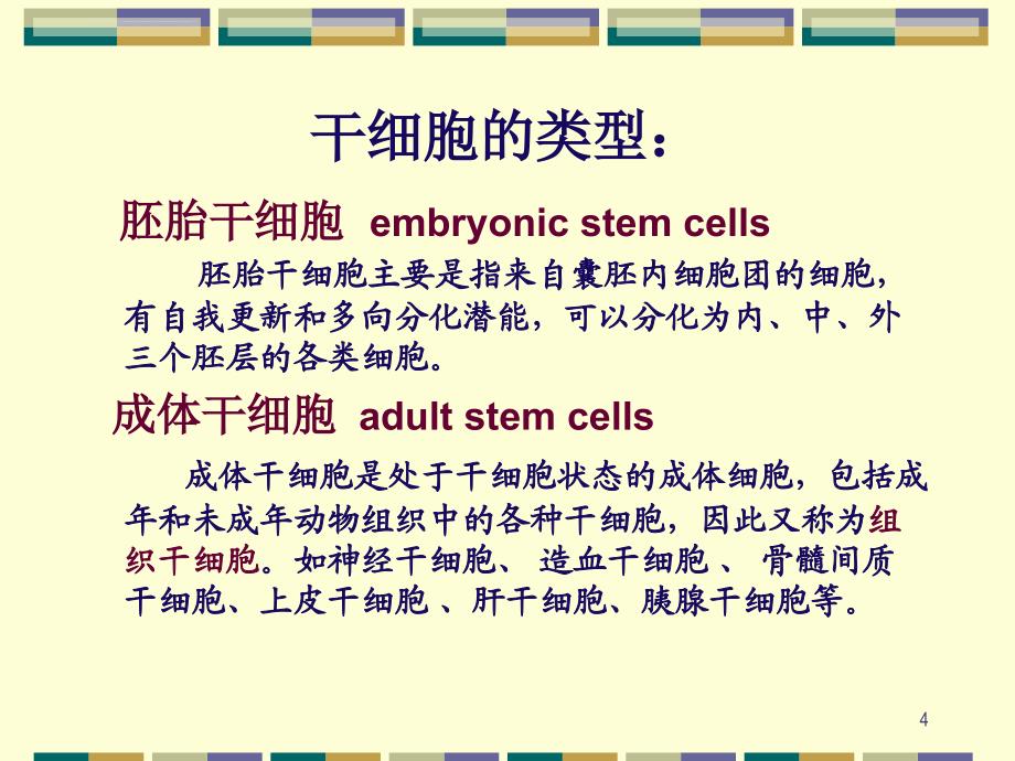 干细胞和干细胞治疗课件_第4页