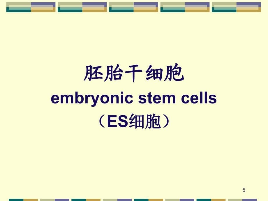 干细胞和干细胞治疗课件_第5页