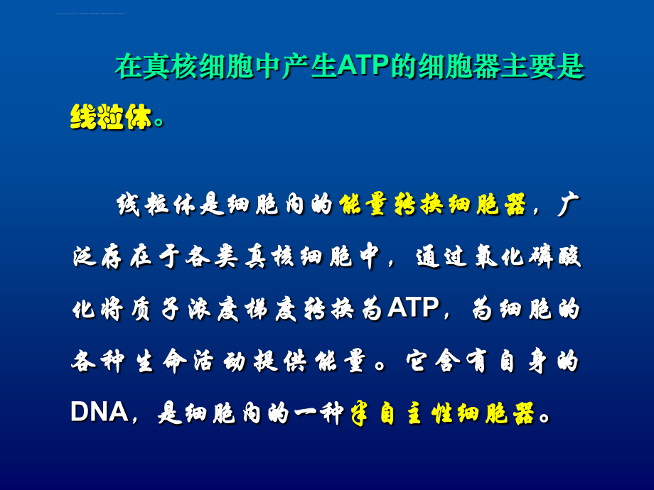 中国海洋大学细胞生物幻灯片10线粒体_第2页