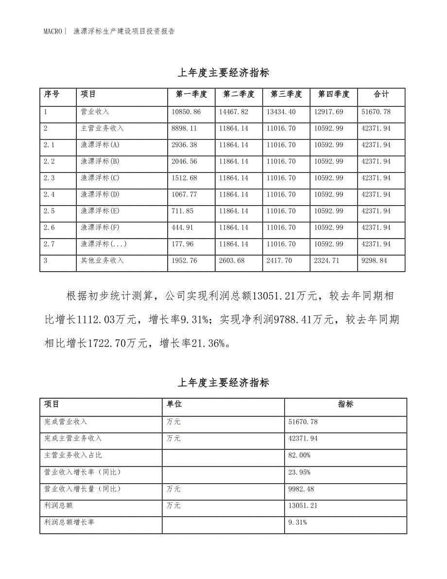 渔漂浮标生产建设项目投资报告_第5页