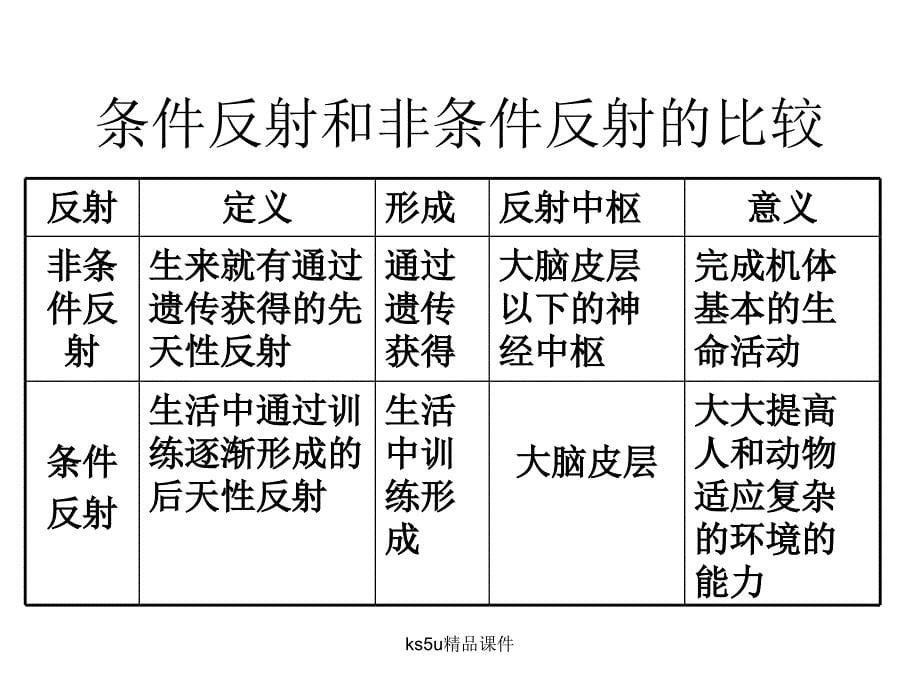 反射活动的基本原理课件_第5页