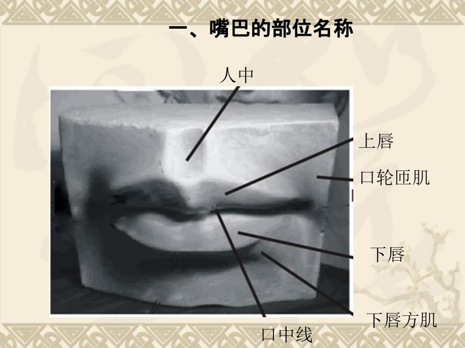 五官--嘴巴详解课件_第3页