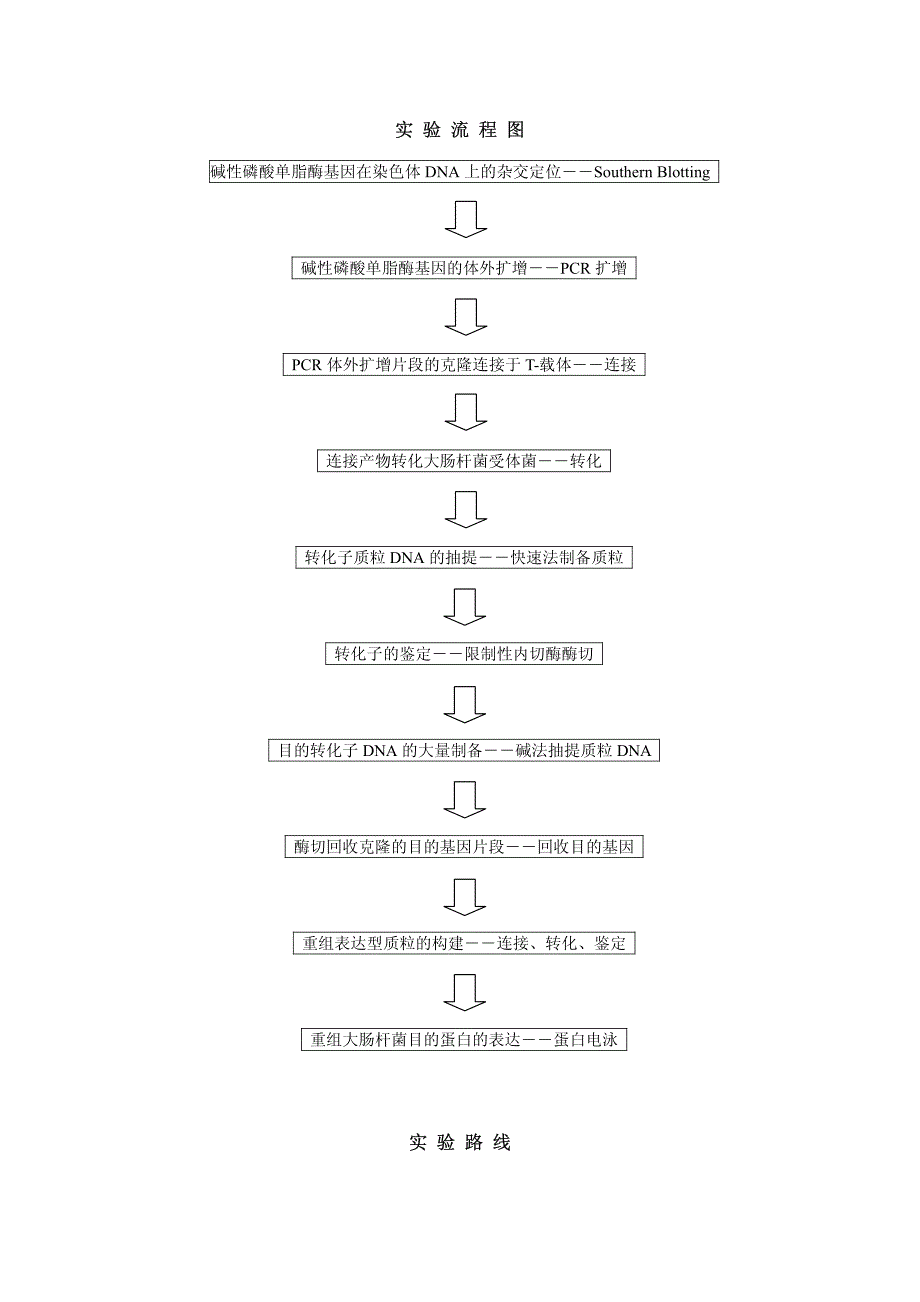 基因的克隆与表达_第3页