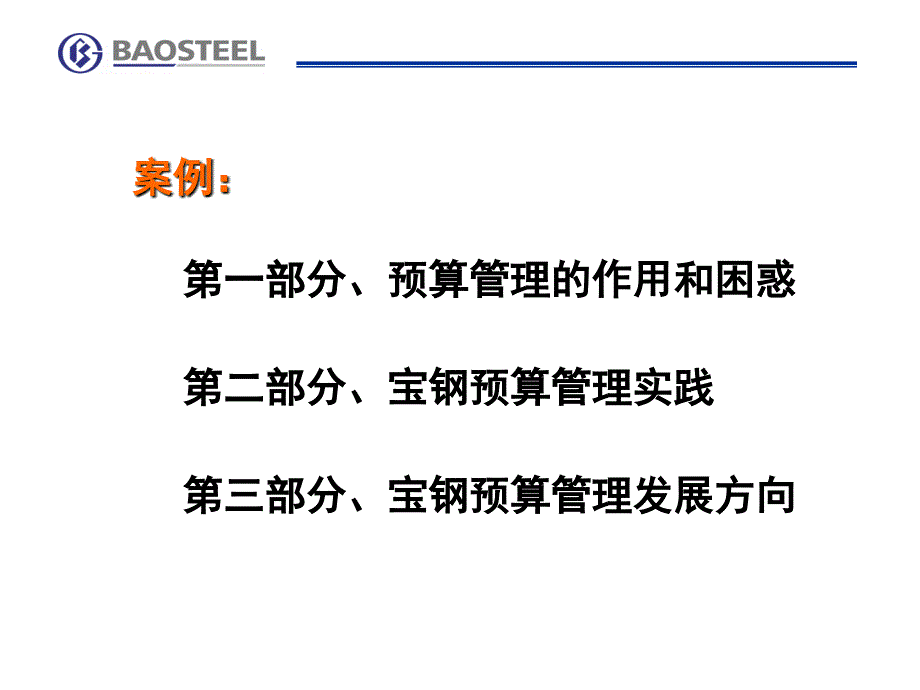 (莆田学院 财务管理原理)第六章预算案例 宝钢预算管理实践_第1页