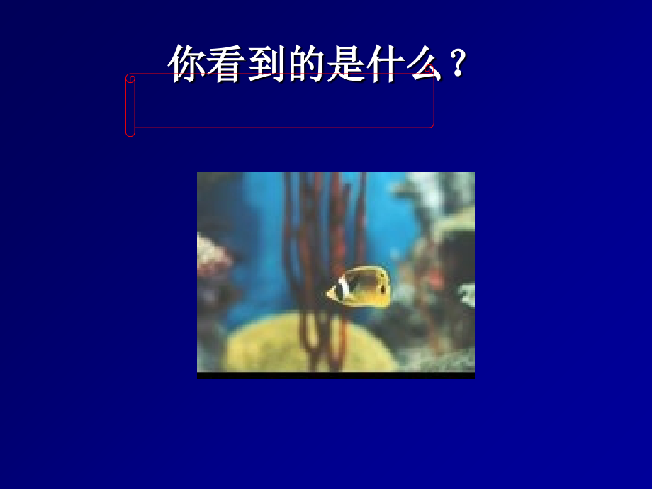 人格心理学幻灯片第九章-认知论_第4页