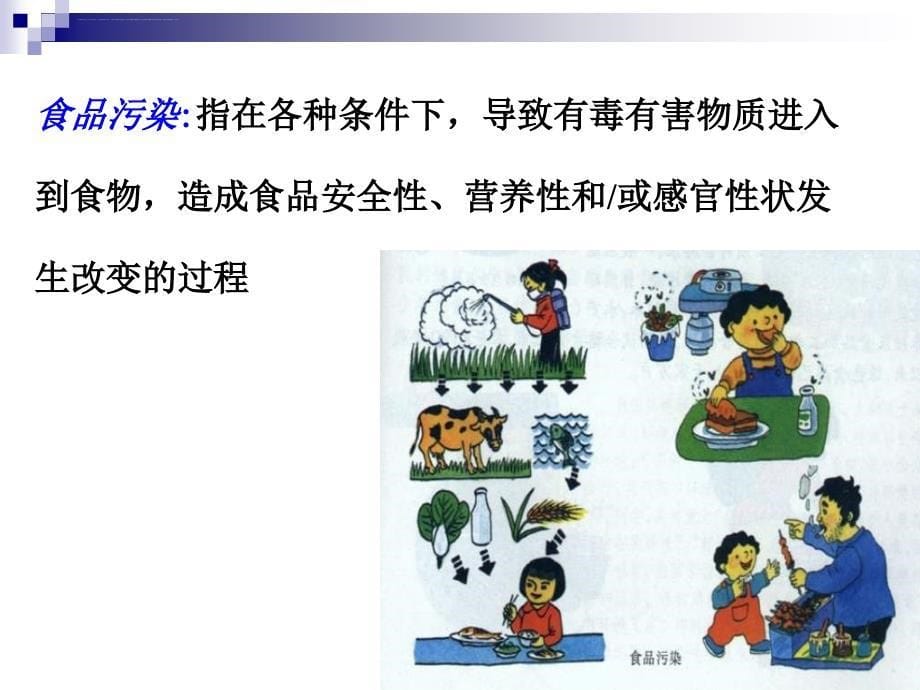四川大学中国饮食文化10-食品安全课件_第5页