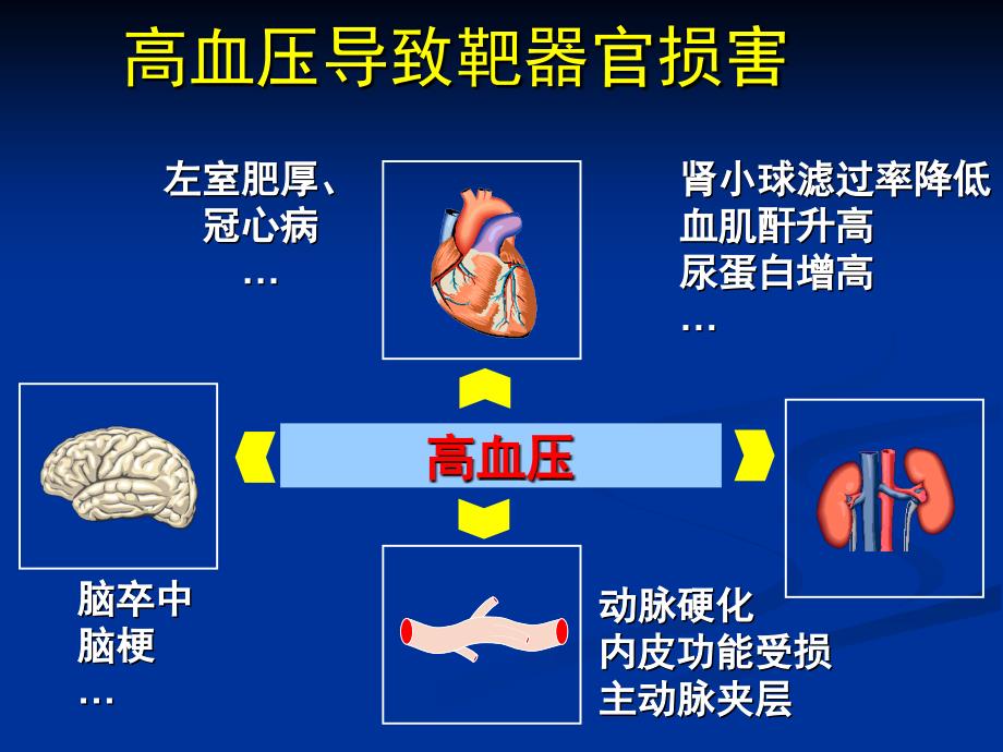 抗高血压药(本)_第4页