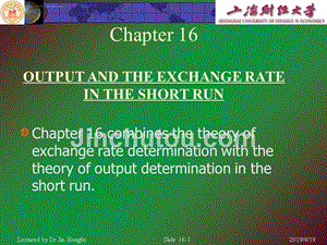 上财国际金融系主任金洪飞国际金融幻灯片chapter-16