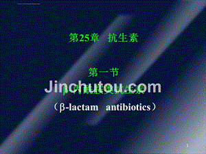 内酰胺类抗生素_4 (2)课件