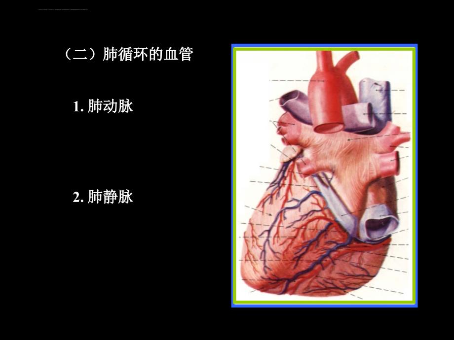 人体解剖生理学幻灯片_第4页