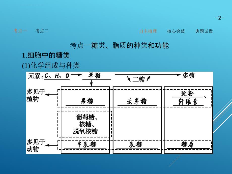 2017届高三生物第一轮复习--糖类脂类的种类和功能课件_第2页