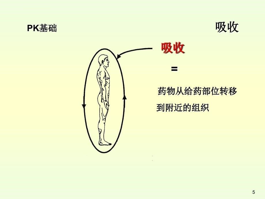 临床药代动力学研究及相关问题--胡蓓课件_第5页