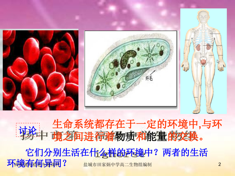 内环境与稳态专题课件_第2页