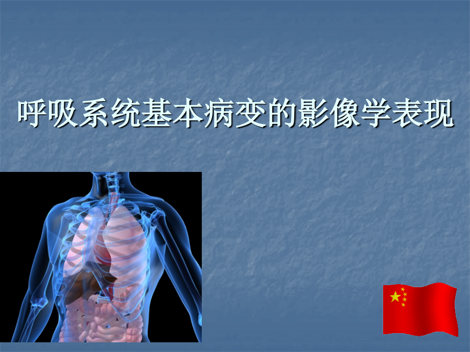 年制影像诊断学呼吸系统2012年（2）课件_第1页