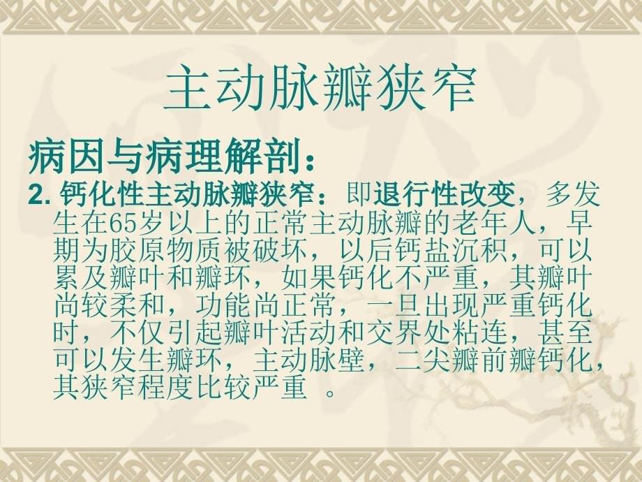 主动脉瓣病变--上海市胸科医院讲课幻灯片_第5页