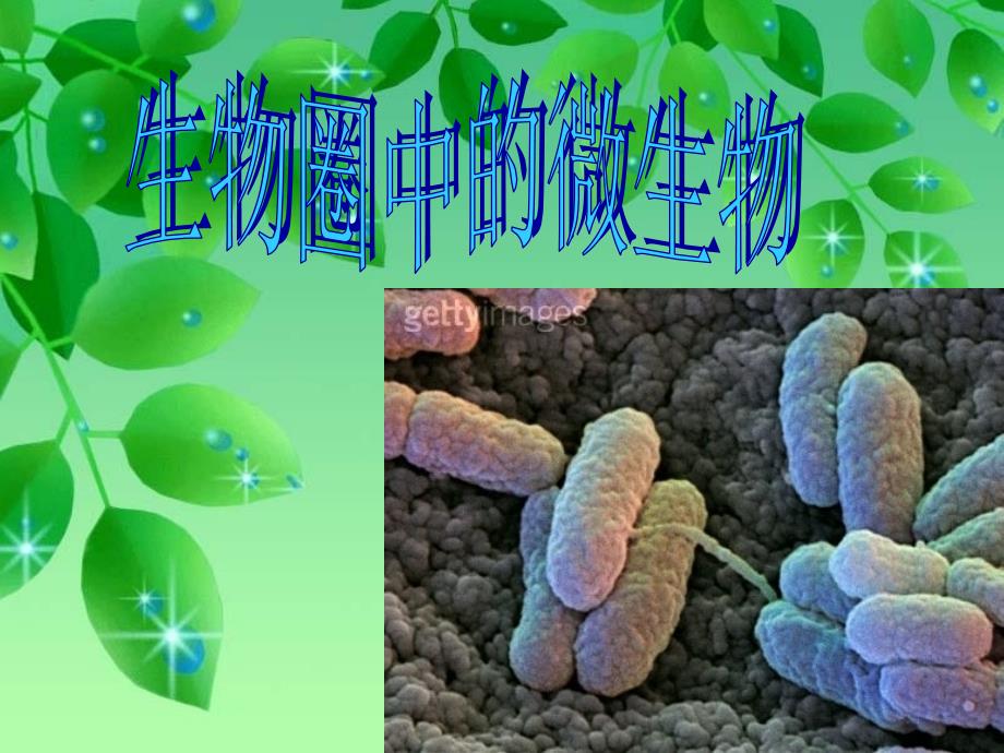 七年级生物生物圈中的微生物(病毒、细菌、真菌)幻灯片_第1页