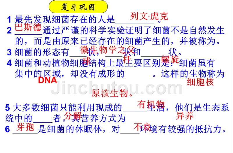 人教版八年级生物《真菌》精品中学ppt幻灯片_第2页