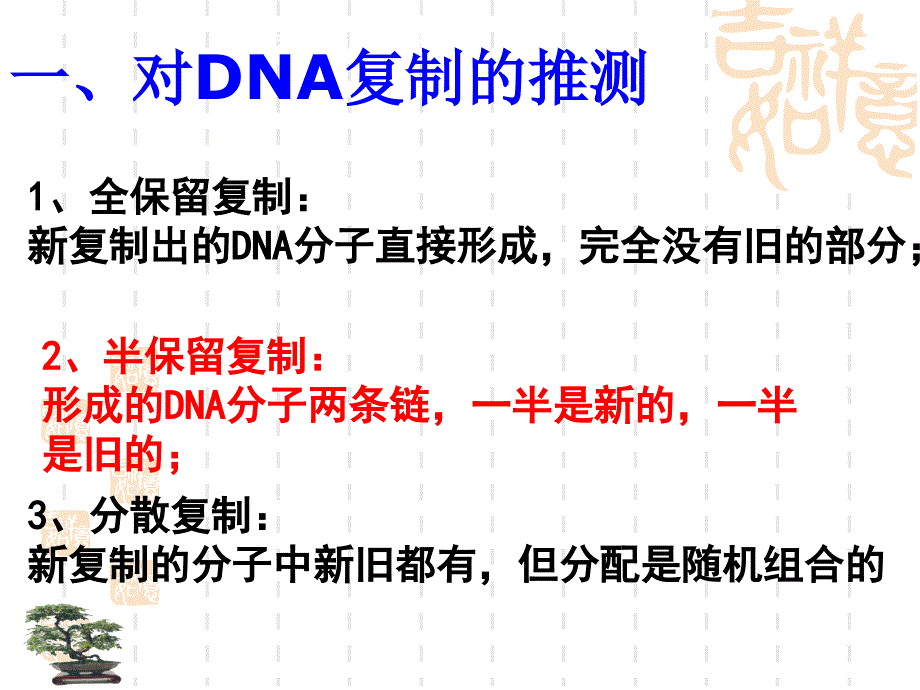 dna分子复制课件(理)_第3页