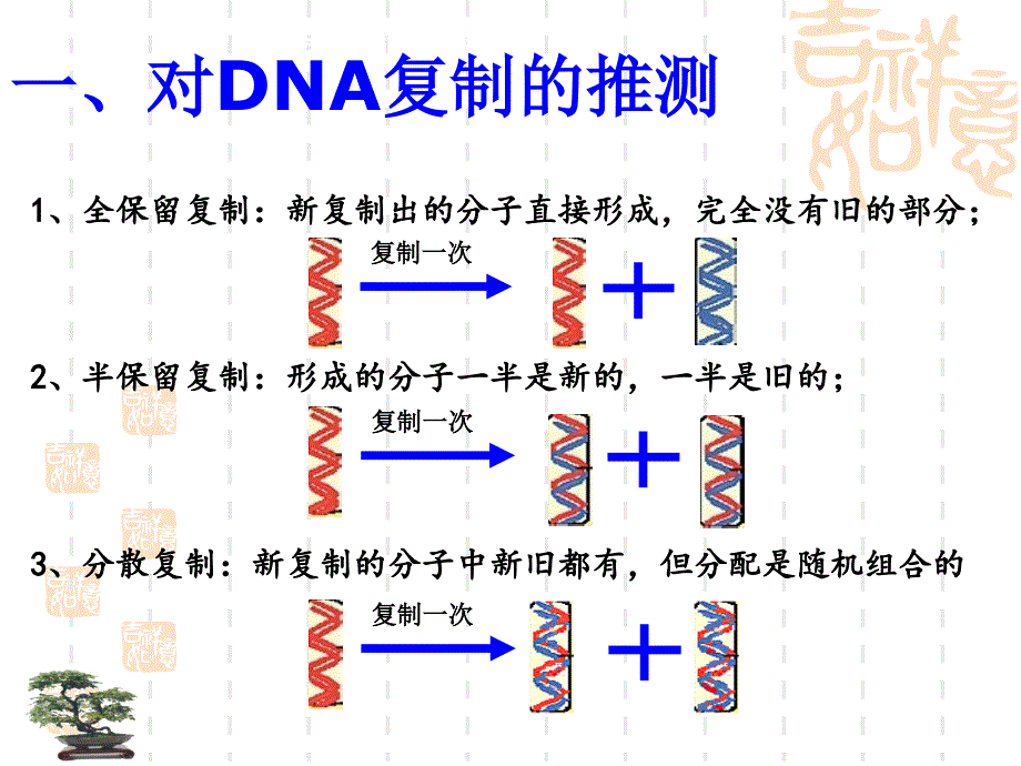 dna分子复制课件(理)_第4页