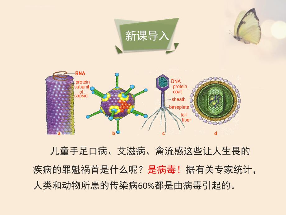 人教版八年级生物上册5.5《病毒》幻灯片-(共25张ppt)_第3页