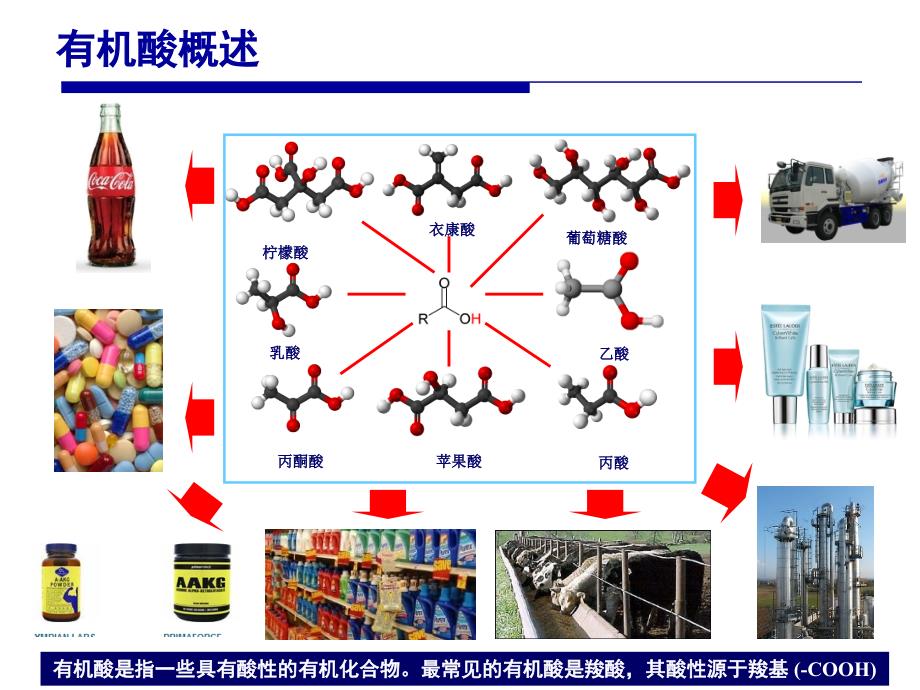 《有机酸发酵》有机酸发酵工业进展_第4页