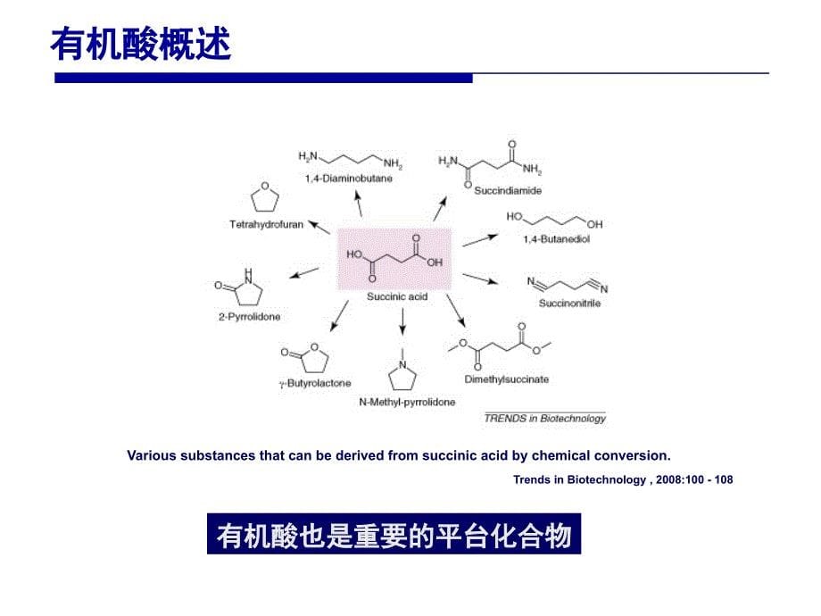 《有机酸发酵》有机酸发酵工业进展_第5页