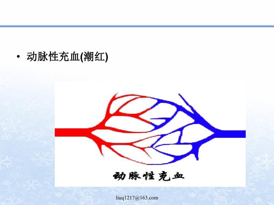 兽医学-病理学部分-第二讲_第5页