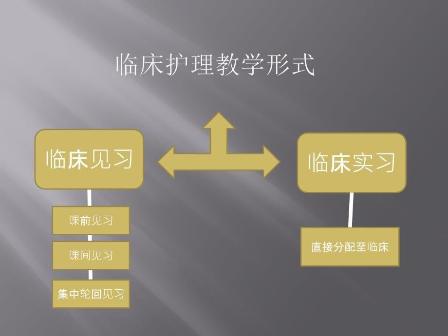 临床护理实践教学_第5页