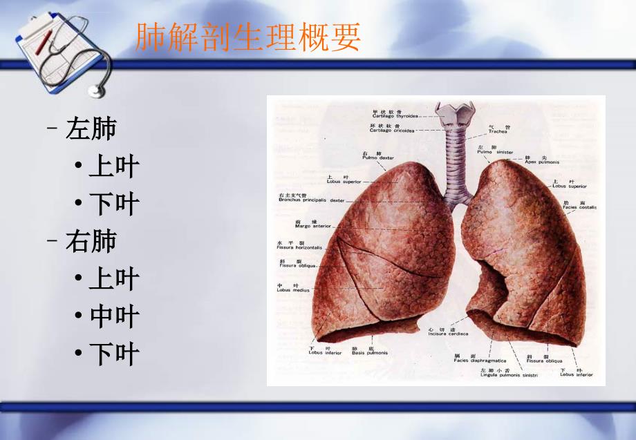 教学查房(肺癌)课件_第2页