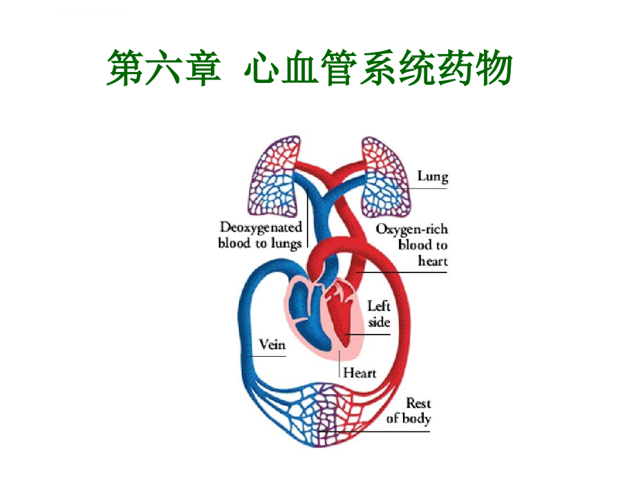 心血管系统药物（药物化学）课件_第1页