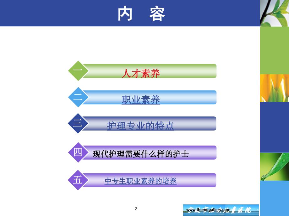 健康照护与人才素养-----护士_第2页